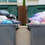 Waste Auditors Do to Save Your Waste Management Costs