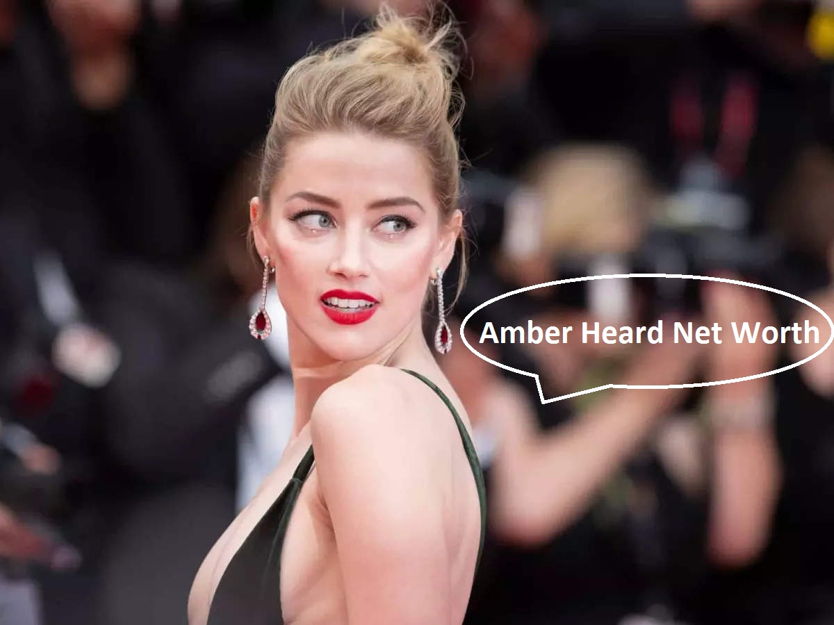 Amber Heard net worth 2022 Everything You Need To Know