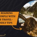 Data Roaming Made Simple with These Travel Friendly Tips