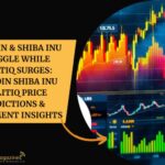 Dogecoin Shiba Inu WallitIQ Price Predictions & Investment Insights