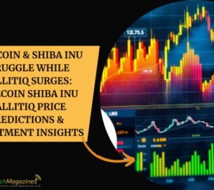 Dogecoin Shiba Inu WallitIQ Price Predictions & Investment Insights