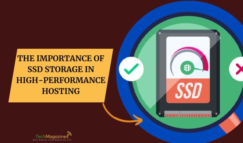 The Importance of SSD Storage in High-Performance Hosting