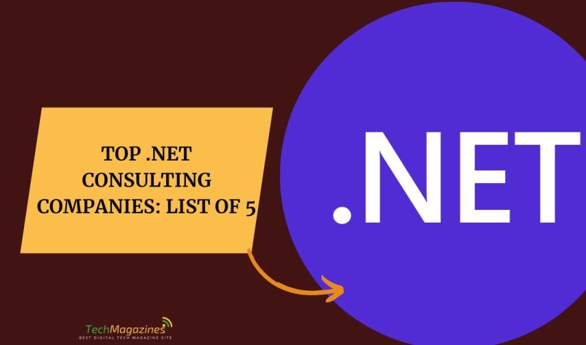 Top .NET Consulting Companies